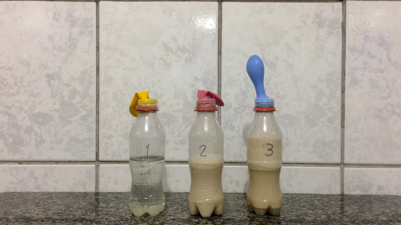 Fermentação Alcoólica