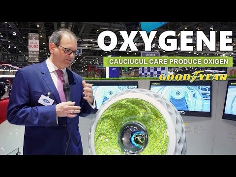 CAUCIUCUL CARE PRODUCE OXIGEN ! - Vlog 815