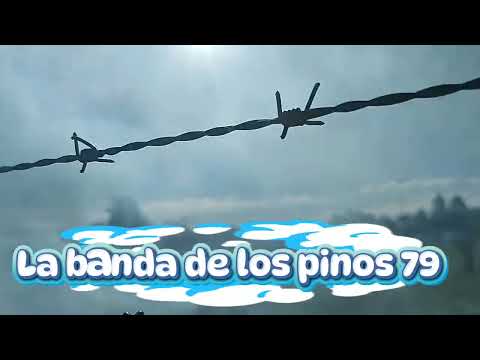 La banda de los pinos Casilda santa fe 