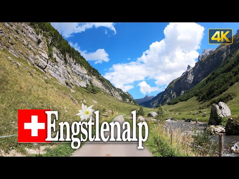Engstlenalp, Switzerland 🇨🇭 Driving from Meiringen to the stunning high alpine Valley of Engstlenalp