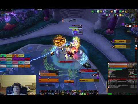 Heroic High Botanist Tel'arn vs Epinephrine ( Guardian Druid PoV )
