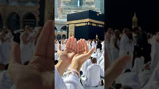 Download lagu mare bat ban gayi ha #meribaatbangayi #meribaatbangayi #naat #islamicvideo #ghulammustafaqadri mp3