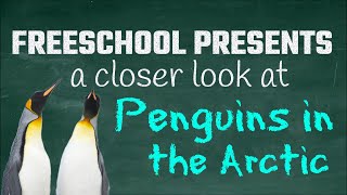 Why Aren't There Penguins in the Arctic? FreeSchool Presents a Closer Look at Arctic Penguins