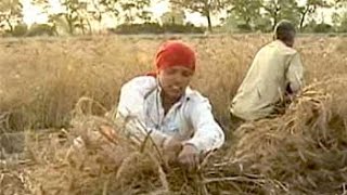 DDA: Guidelines for pooling 80,000 acres land soon