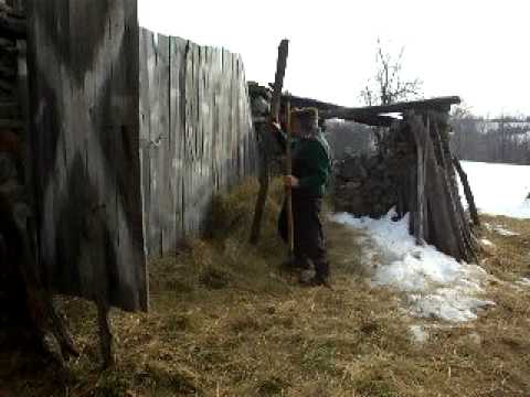 Viata de zi cu zi la Gornenti.