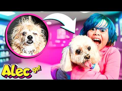 VIREI BABÁ DE UM CACHORRINHO POR 24 HORAS 🐶 OLHA NO QUE DEU! ( Alec GO! #vlogs )