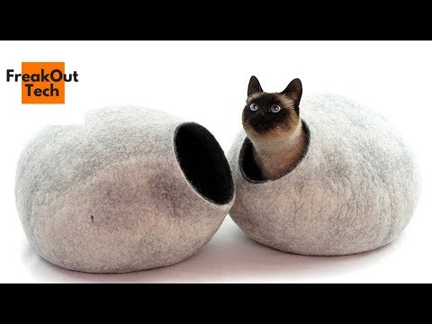 5 Incredible Inventions For Your Cat #6 ✔ Video
