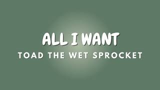 ALL I WANT + Lyrics | TOAD THE WET SPROCKET