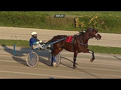 Aversa trotto 11 Dicembre 2019 - 2° Corsa