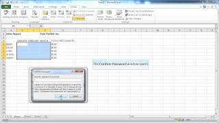 ms excel 2010 how to password protect a cell range demo