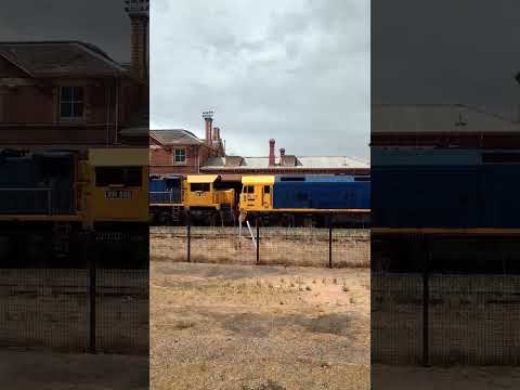 bl class xr class and g class hauling a grain train