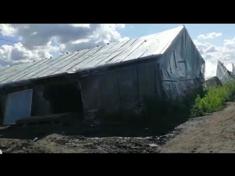 Типлица Парник
Типгаииби. Точики. точикистон. Душанбе. России. гариби. хаёти талх. мухочир. Кулоб.