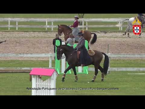 220501 Sub16 Prova de Maneabilidade III Jornada CNET