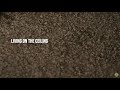 Blancmange - Living On The Ceiling [Lyrics]