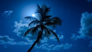 preview picture of video 'Time Lapse Moonrise over Key West Beach'