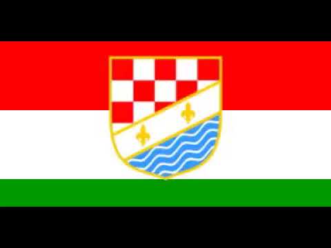 Zdenko Gudelj  Od Brčkoga do Dervente