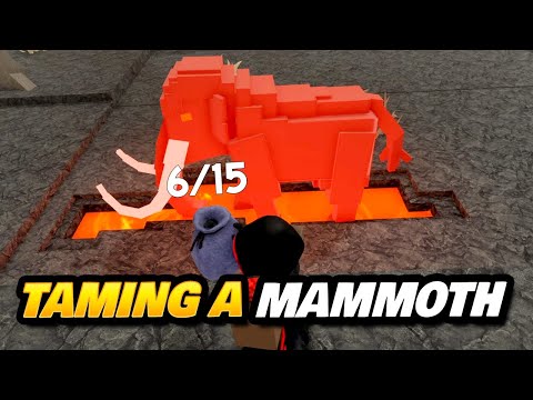 Taming a MAMMOTH in 99 Nights (and a Kiwi!)