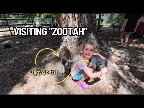 Visiting Zootah in Logan, Utah | Family Vlog