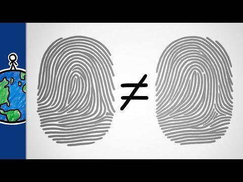 Why Are Your Fingerprints Unique?