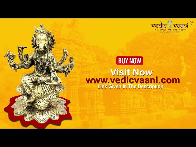 Lord Varaha Idol / Murti incarnation of God Vishnu video