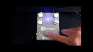 Wampler Nirvana - What To Know & Where To Buy | Equipboard