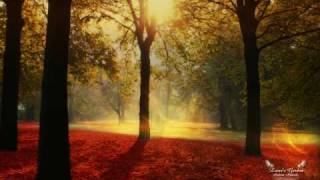 Sasha - Invol2er (Ladytron - Destroy Everything You Touch)