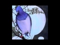 Brian Wright - Adeline