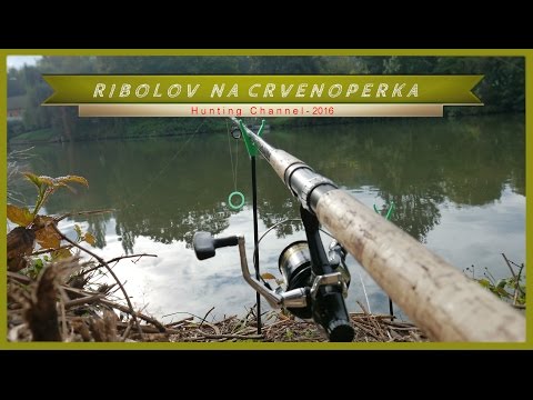 Ribolov na Crvenoperka! #7
