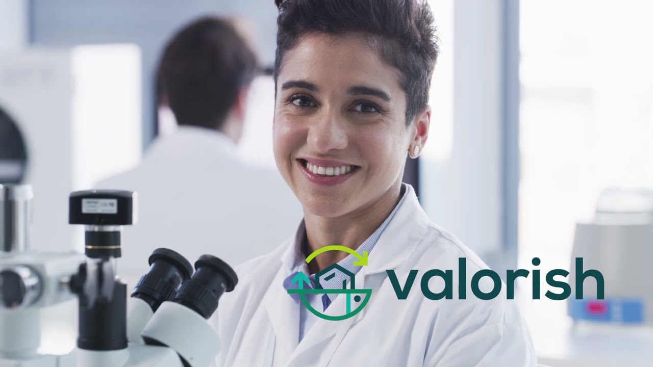 Descripción del Video