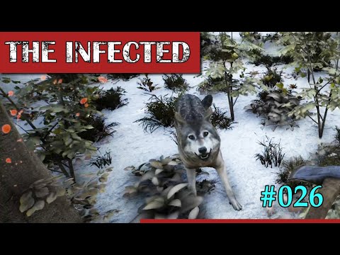 THE INFECTED ⚡ #026: Ich brauche einen Zaun ⚡