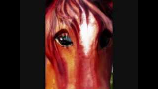 The Painted Pony.wmv