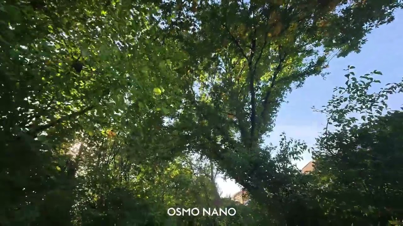 DJI Osmo Nano — 4K @ 60fps (Cap peak mount) - YouTube