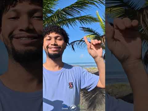 ¿Aún no Conoces la Playa del Cantón de Matina? 😳 Senderos, biodiversidad, playa.