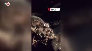 Bolu’da Domuza Çarpan Otomobil Hurdaya Döndü 1 Yaralı