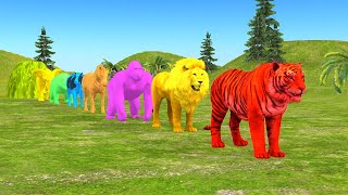 Paint Animals Gorilla Cow Tiger Lion Elephant Foun