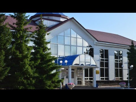 Брифинг начальника Управления образования Янаульского района Э.Ф. Шаиховой по вопросам дистанционного обучения