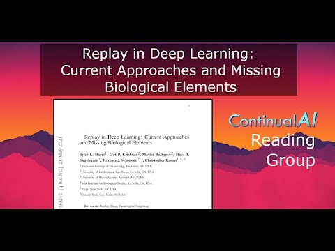 ContinualAI RG: "Replay in Deep Learning: Current Approaches and Missing Biological Elements"