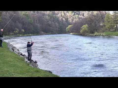 Classic and Modern Speycasting Techniques