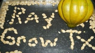 Save Acorn Squash Seeds