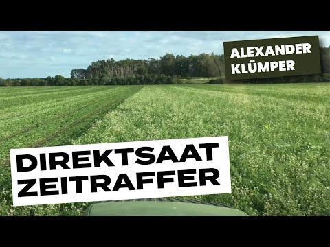 Direktsaat Gerste in Zwischenfrucht "Zeitraffer" 2 Monate