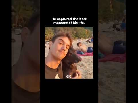 He Watched The Sunset With His Best Friend 🥹🐶