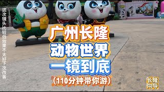 广州长隆野生动物世界向导带你游一镜到底