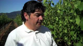Gustavo Gonzalez in the SB Vineyard