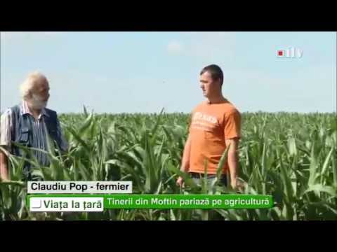 Tinerii din Moftin pariază pe agricultură 05.07.2014