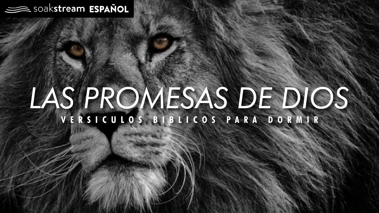 Las Promesas de Dios | Versiculos Biblicos Para Dormir