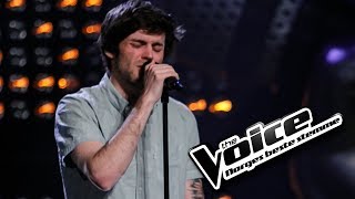 Marius Brustad - Coconut Skins | The Voice Norge 2017 | Blind Auditions