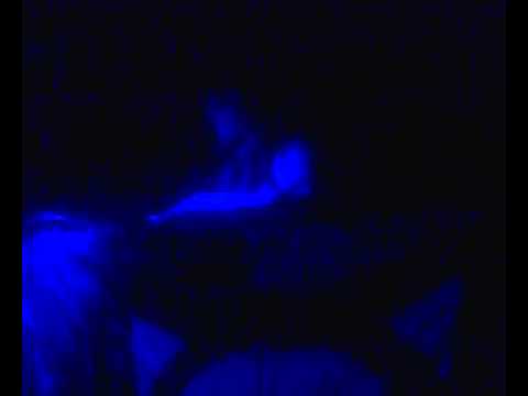 Candy Cox__Hard Park Festival@ Old River park