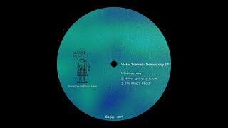Victor Tomasi "Democracy"