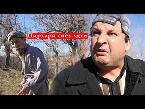 Махфилоро - Пирхари сиёх хдти