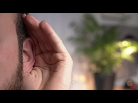 Hören was WICHTIG ist 🎧  Gehörbildung für Tontechniker | Übung 1